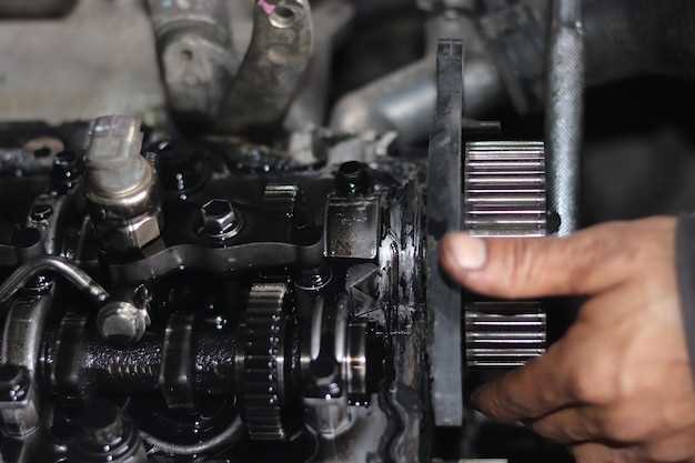 Процесс выставления ВМТ: пошаговая инструкция